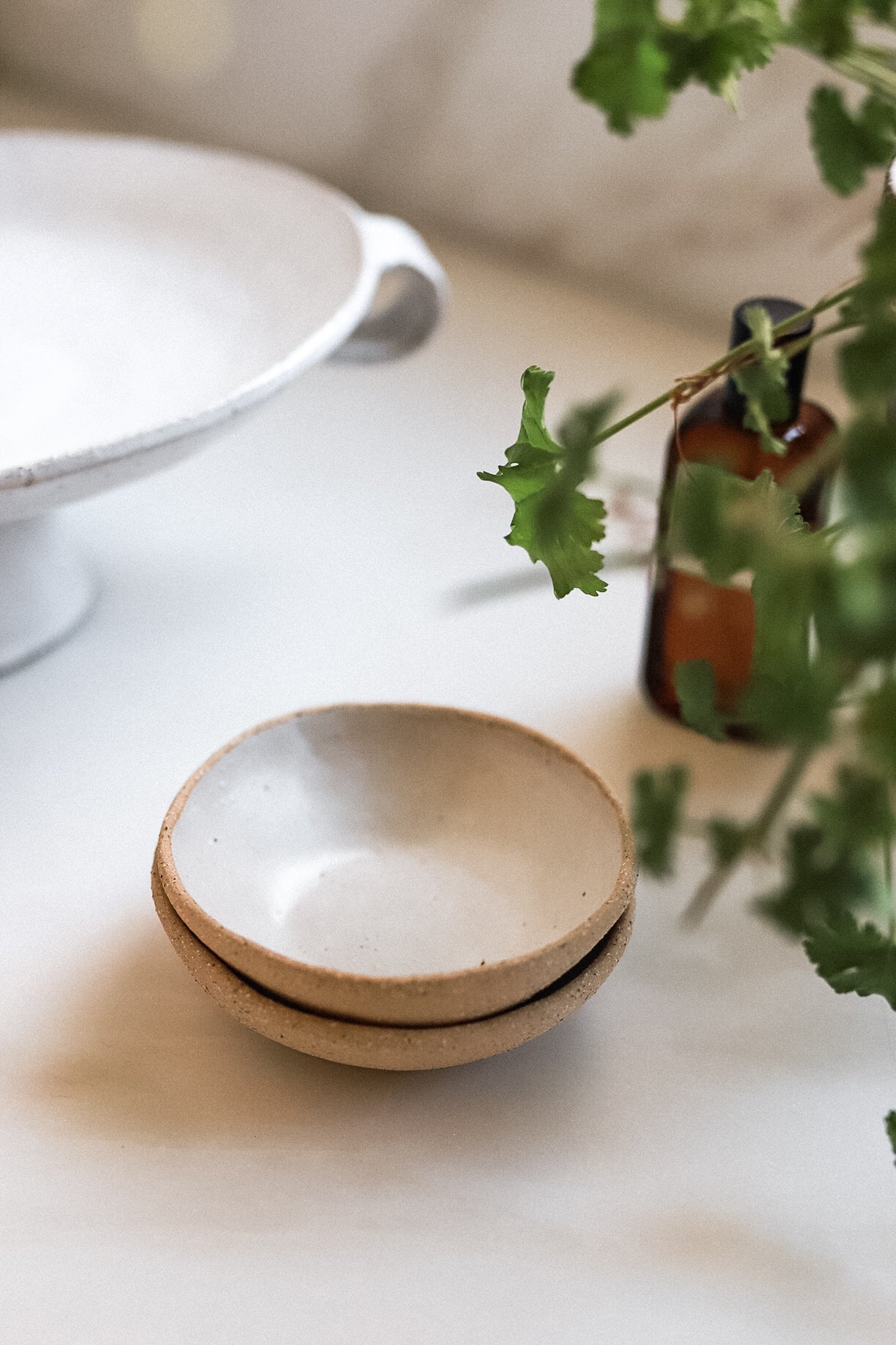 The Simple Dish | special edition