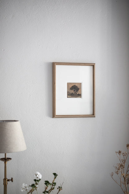 ‘English Elm’ N.ii | an Original oil study