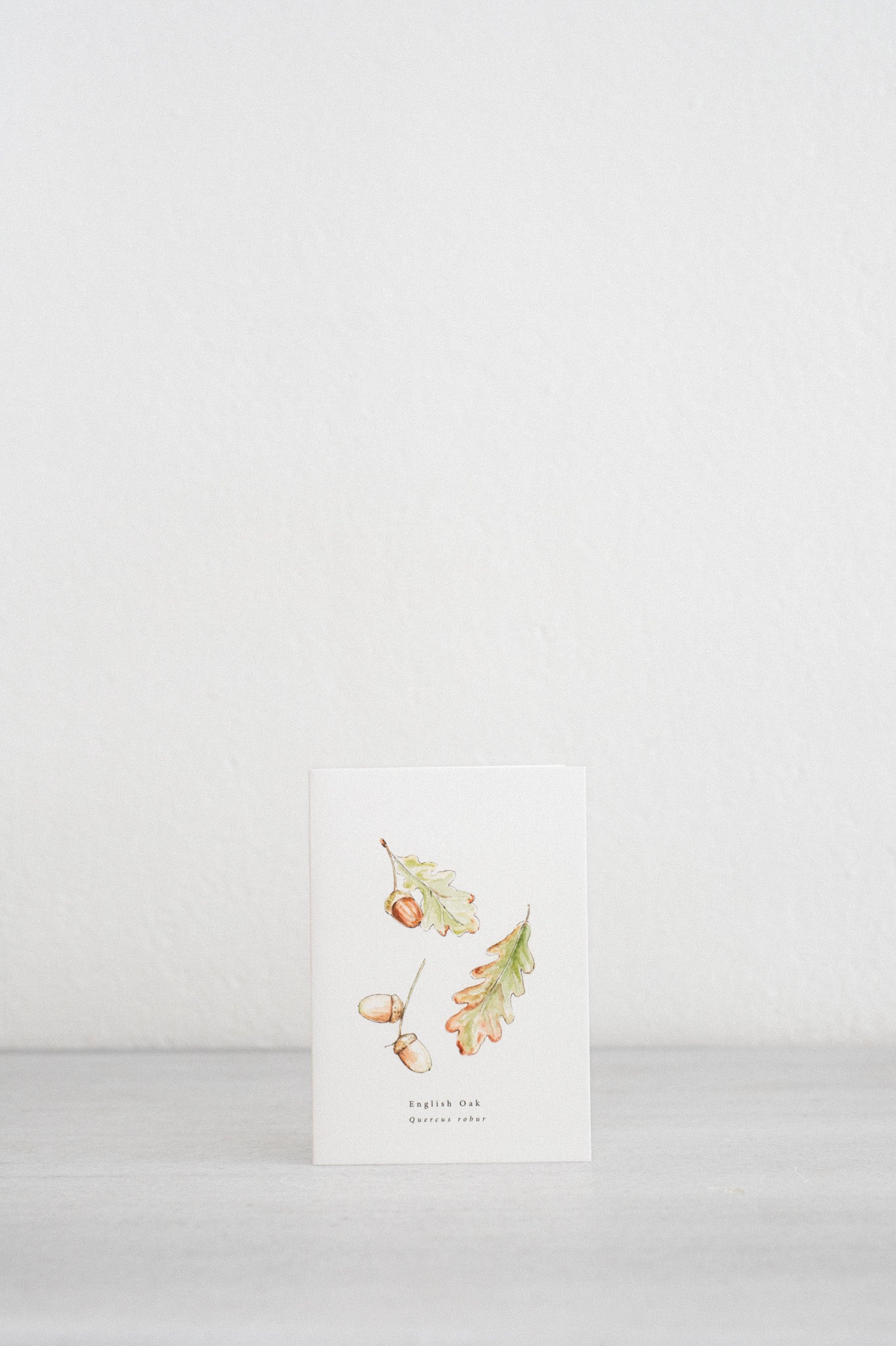 Oak Botanical Autumn Card