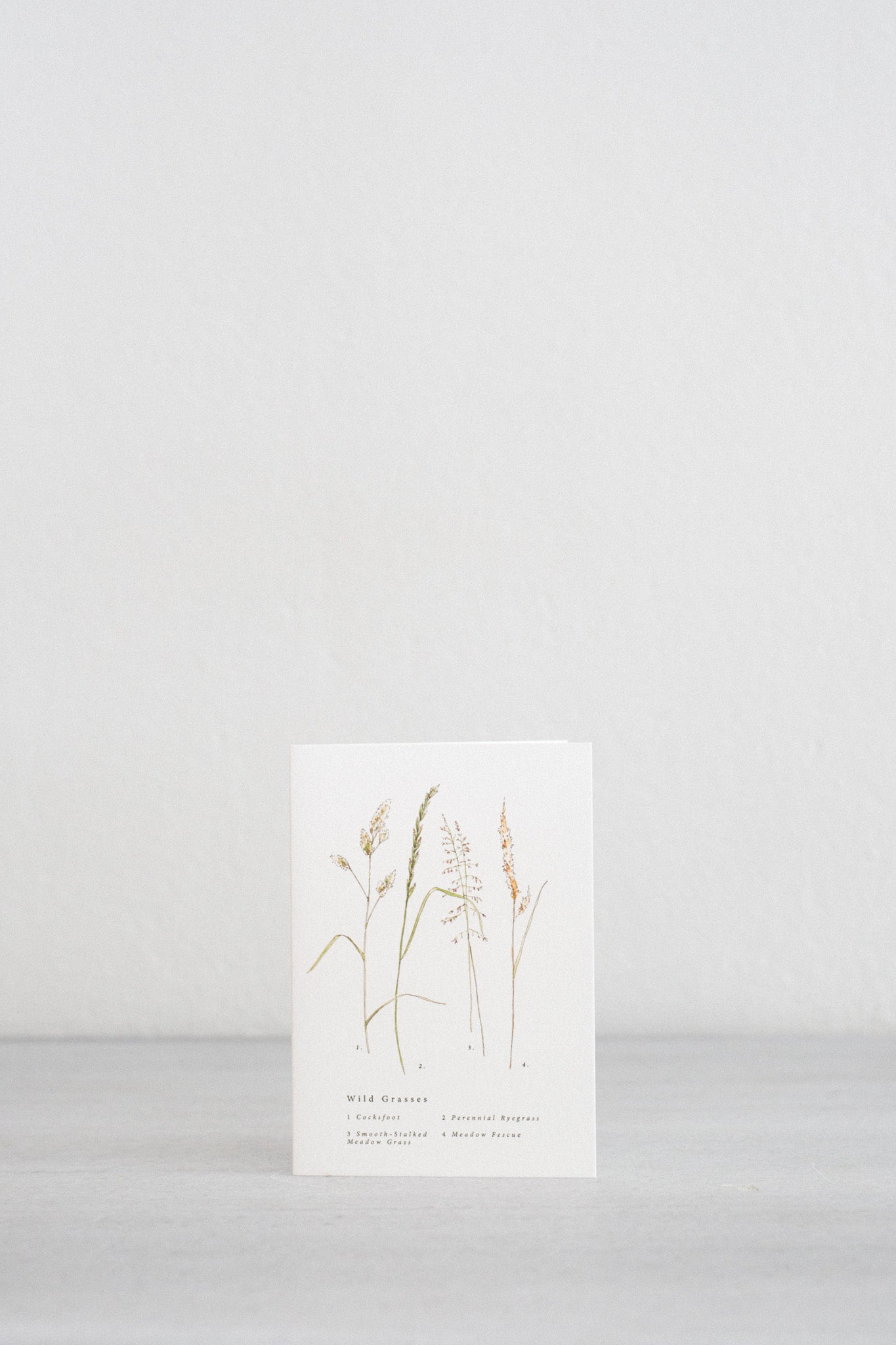 Wild Grasses A Natural Year Card