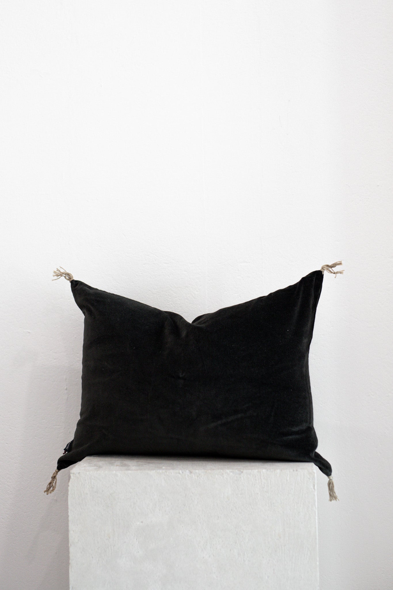 Velvet Cushion in Carbon