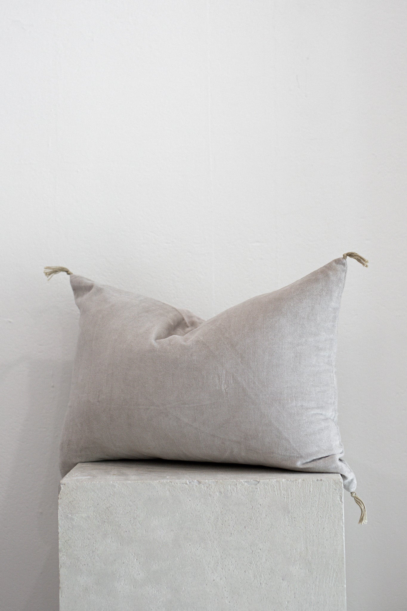 French Velvet Cushion in Mist