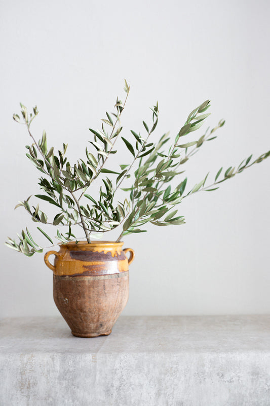 Antique 19th Century European Glazed Confit Pot — N. 4