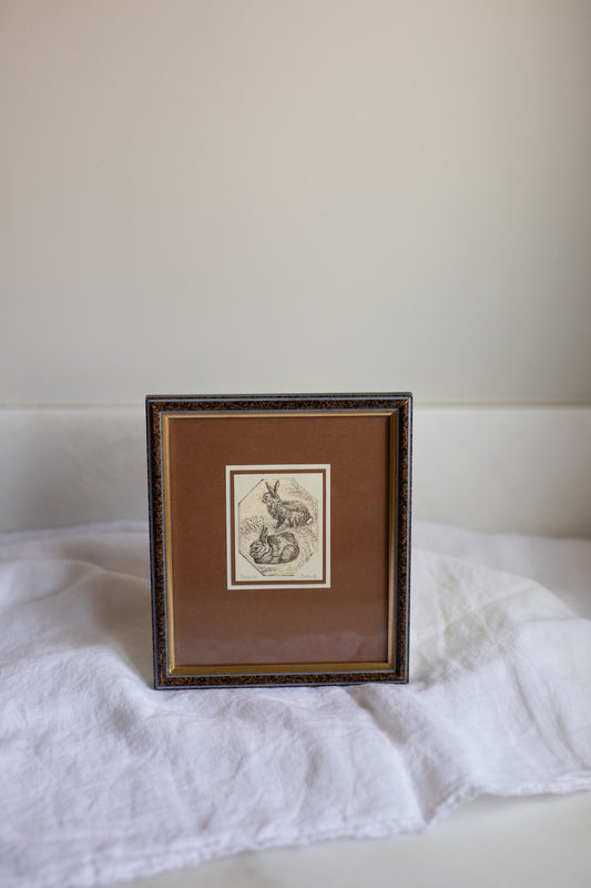 Antique European Illustration | Framed