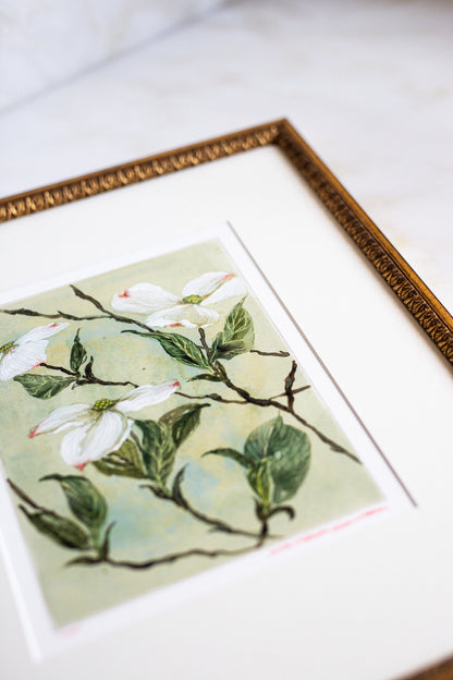 'Dogwood ii' Limited Edition print | Heirloom Frame