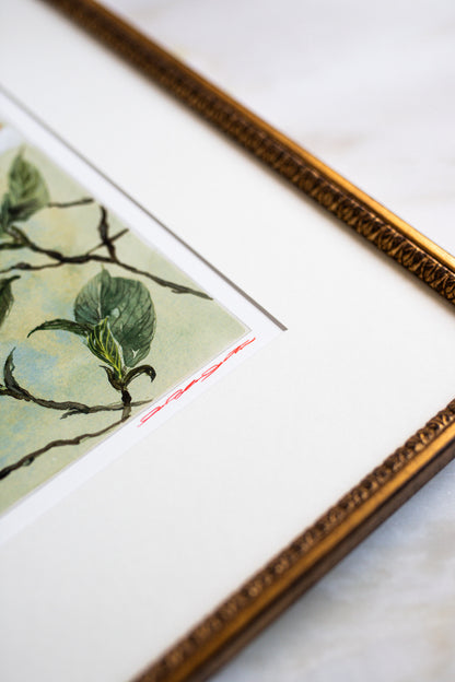 'Dogwood ii' Limited Edition print | Heirloom Frame