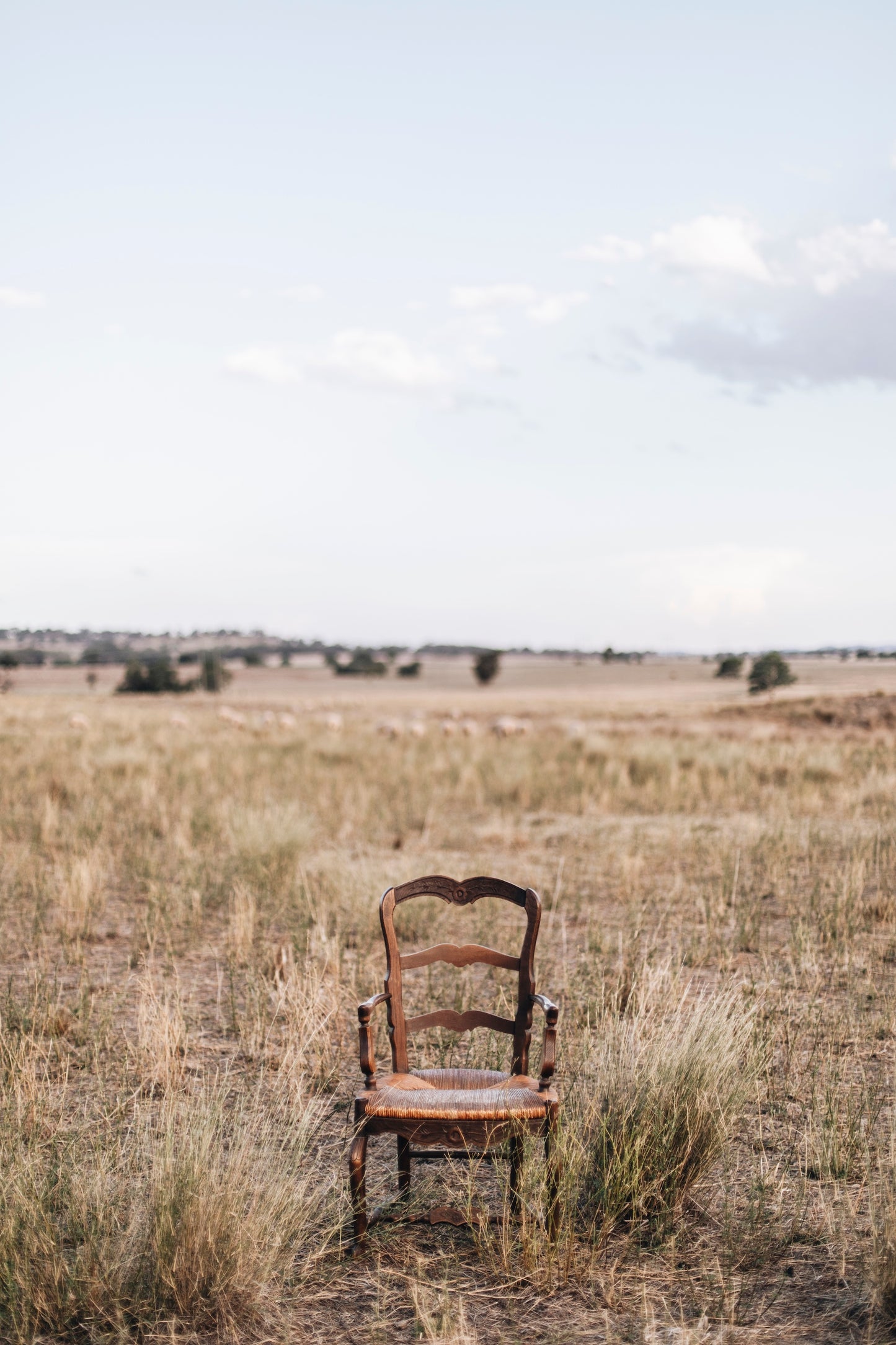 Antique French Provincial Oak & Woven Seat Armchair