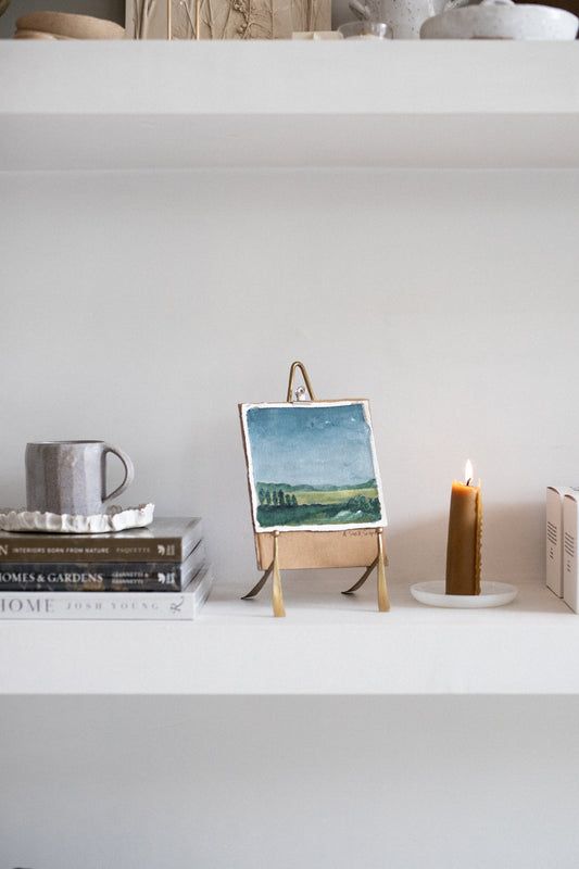 'Le pini' | A Small Still Life