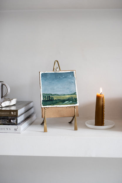 'Le pini' | A Small Still Life