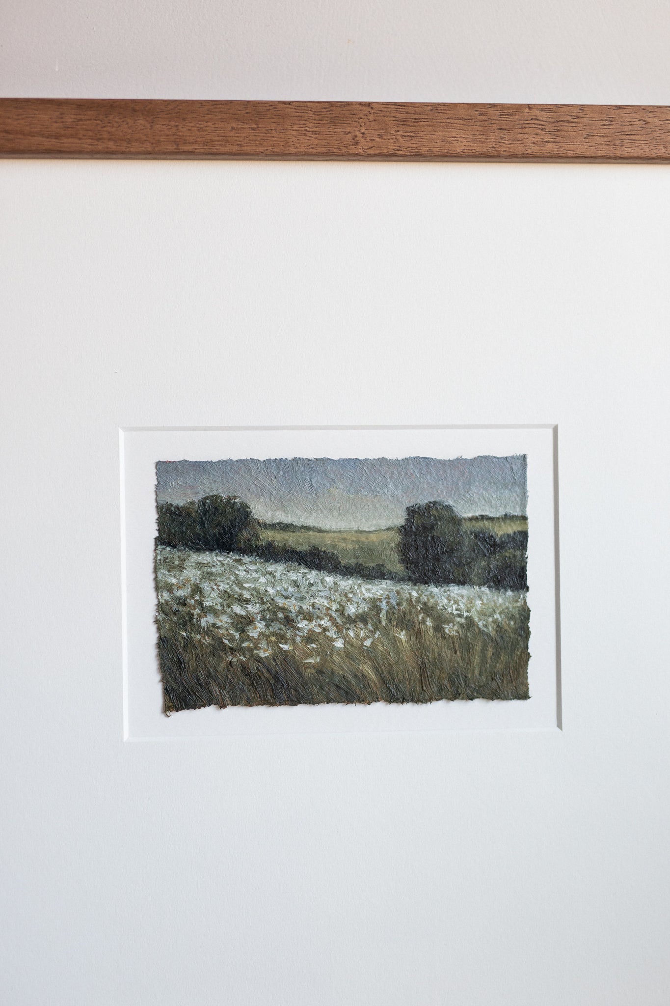 N. 5 'Distant Flower Field'