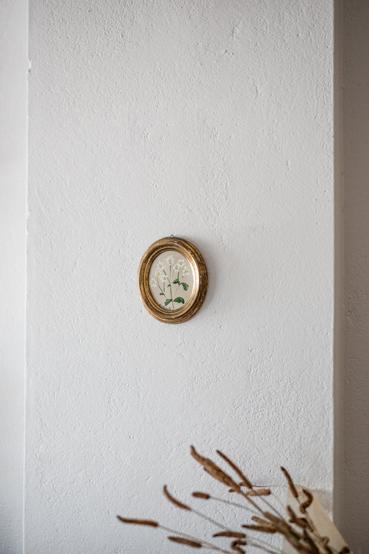 English Floral Artworks in Antique Frames