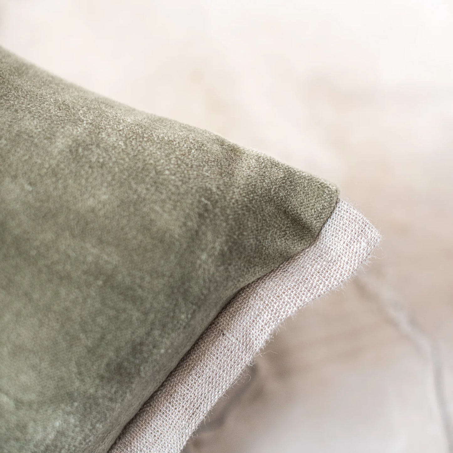 French Velvet Cushions