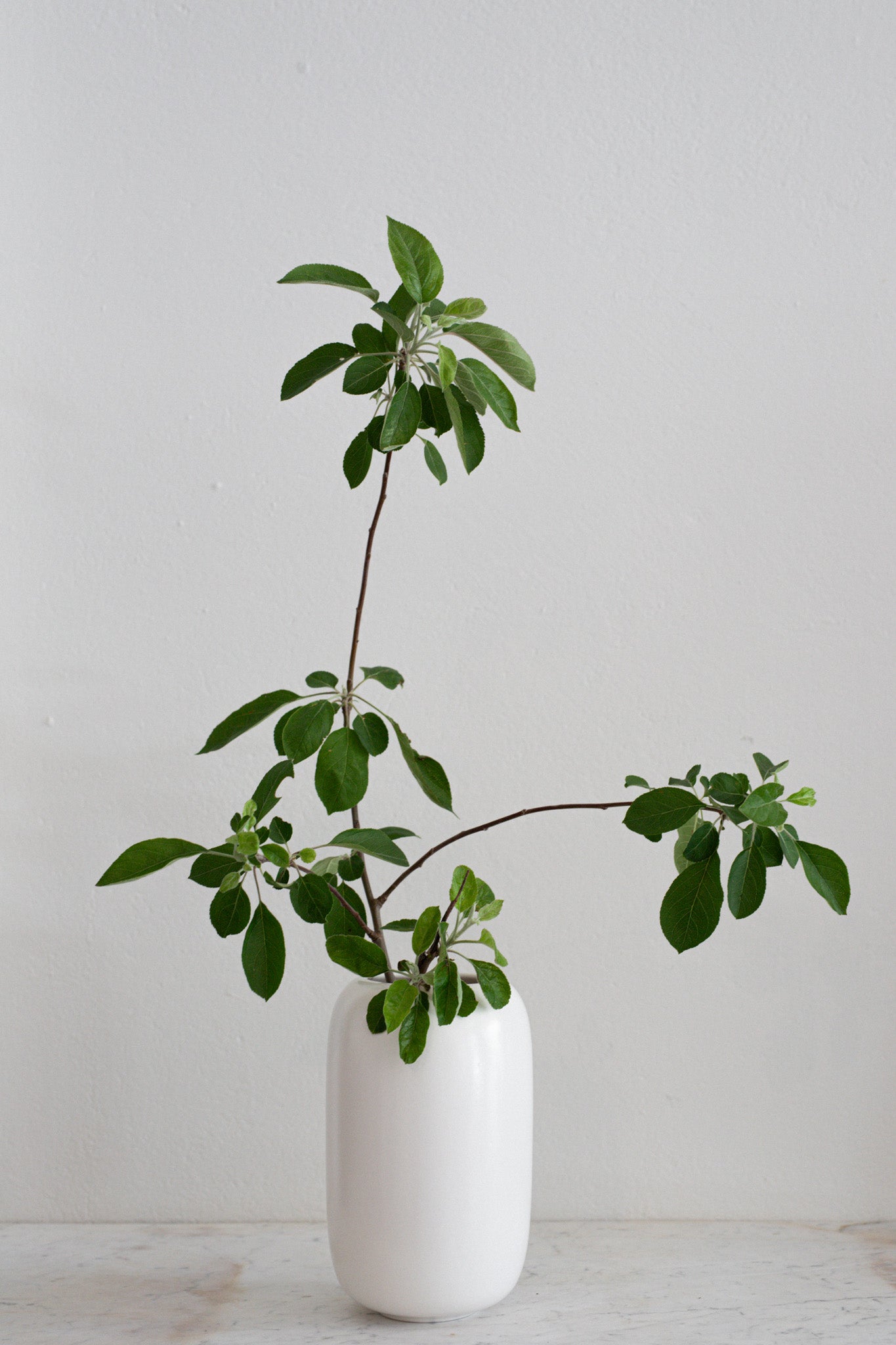 Small Ceramic Vase in White