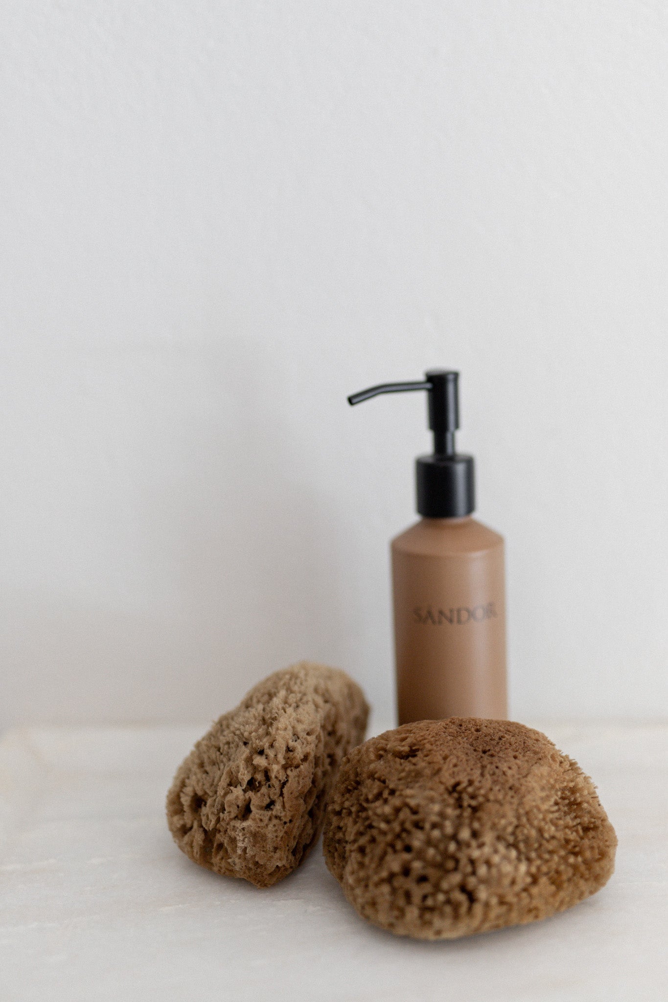 Natural Mediterranean Sea Sponges