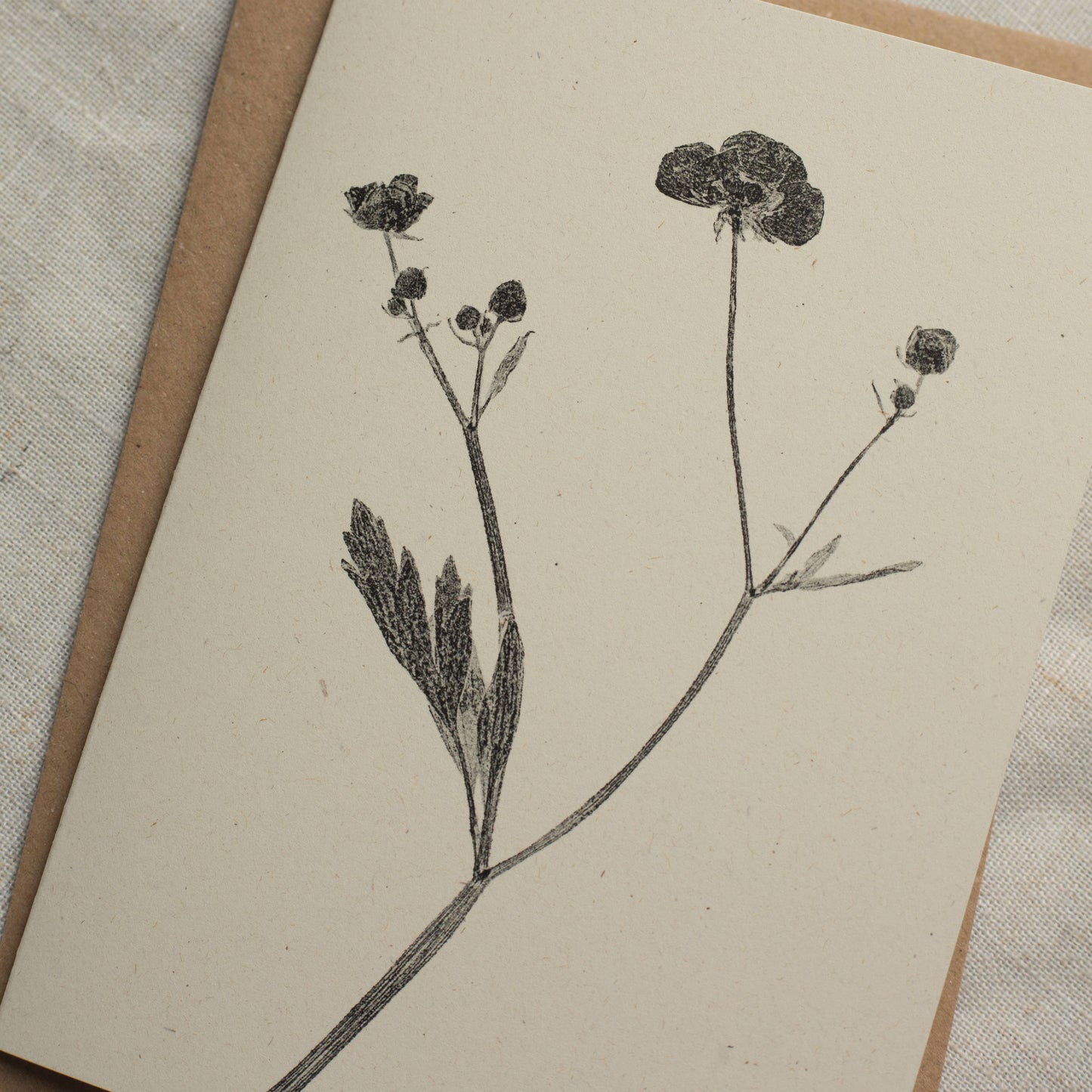 Meadow Buttercup Flower Greeting Card A6 Recycled Card