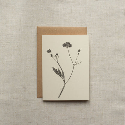 Meadow Buttercup Flower Greeting Card A6 Recycled Card