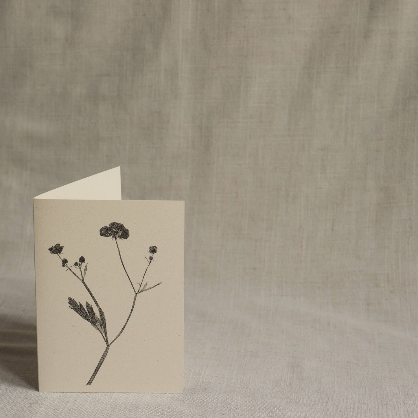 Meadow Buttercup Flower Greeting Card A6 Recycled Card