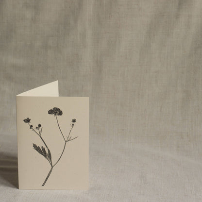 Meadow Buttercup Flower Greeting Card A6 Recycled Card