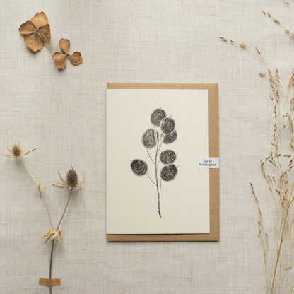 Honesty Pods Floral Greeting Card A6 Recycled Card 